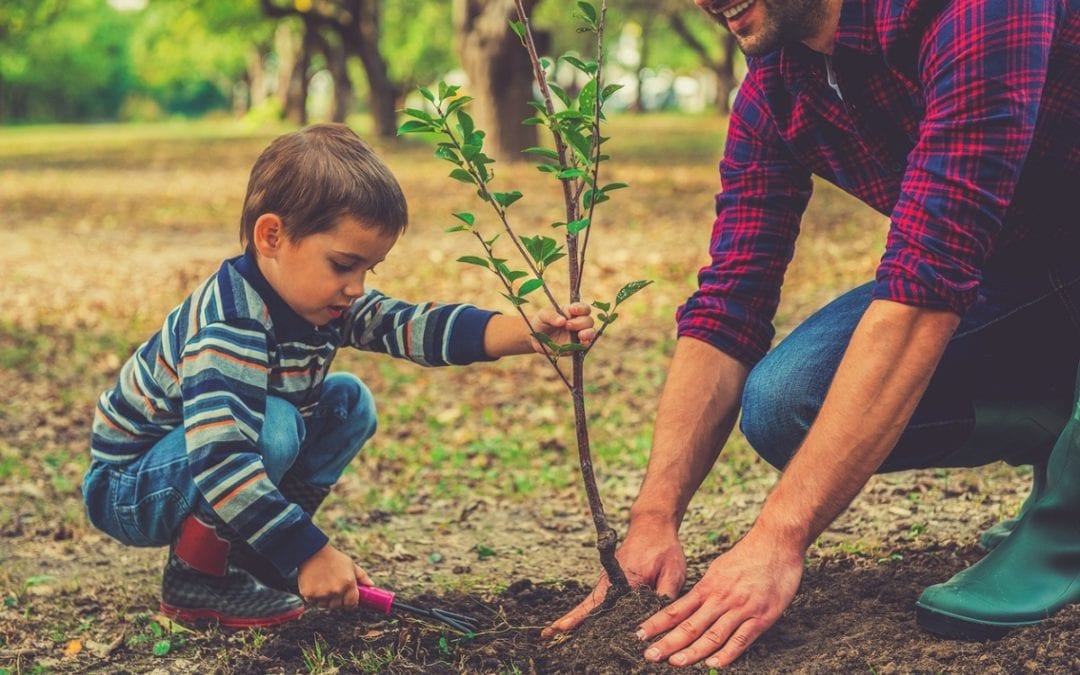 Late April Spring Gardening Tips