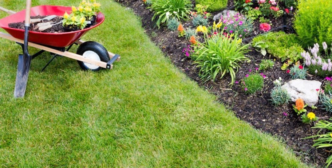 Lawn Care ABC�s The Bruce Company Middleton WI
