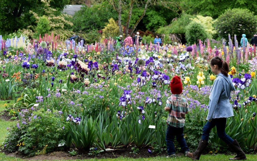 How to Keep Your Yard Looking Good All Summer!