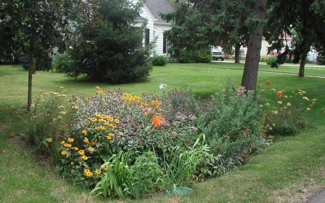 Rain Gardening