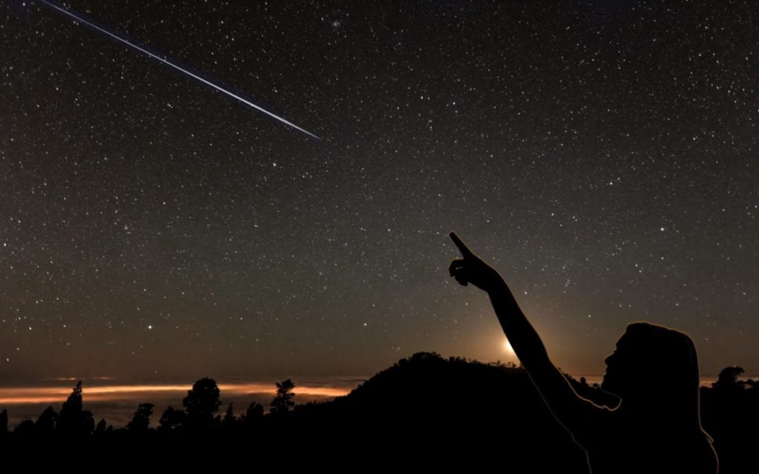 Late Summer Gardening