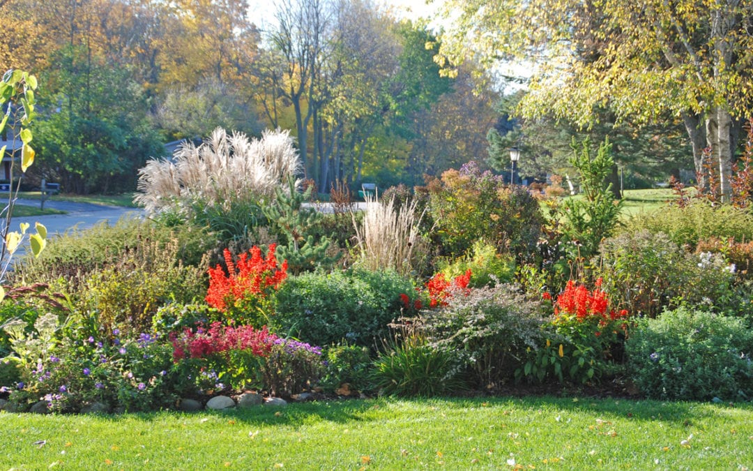 Time to Turn Our Gardening Thoughts Into Winter Preparedness