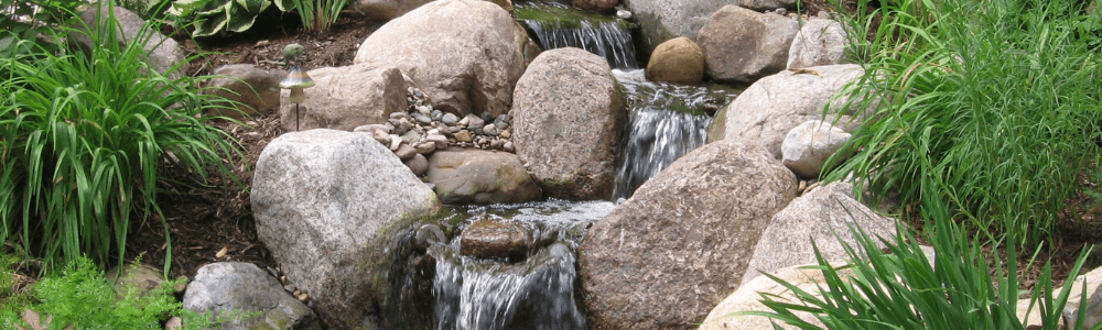 Treating Algae in Your Summer Pond & More!