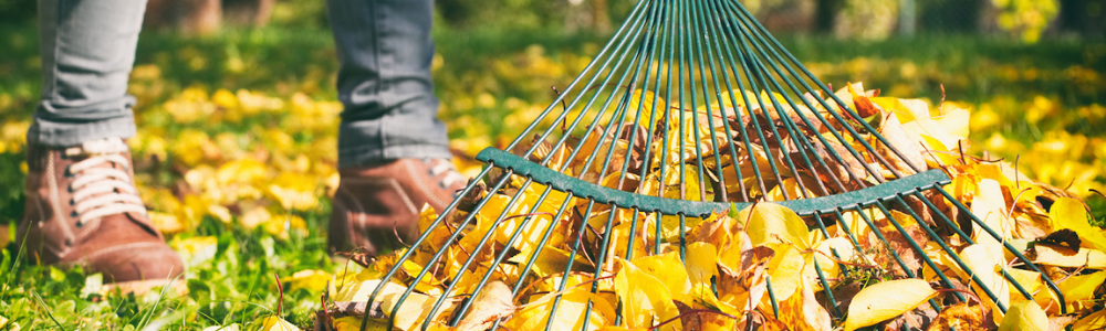 Your Fall Gardening Checklist!