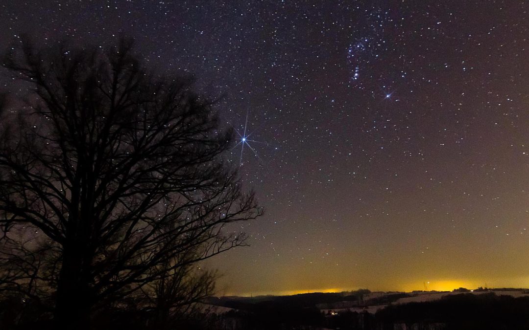 the dog days are not over!