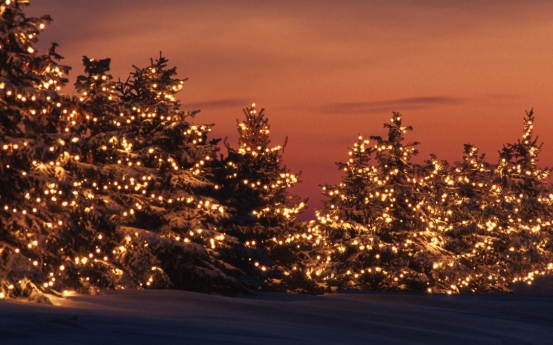 To LED, or not to LED. That is the question.