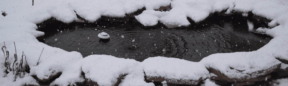 Things to Know When Winterizing Your Pond at Home