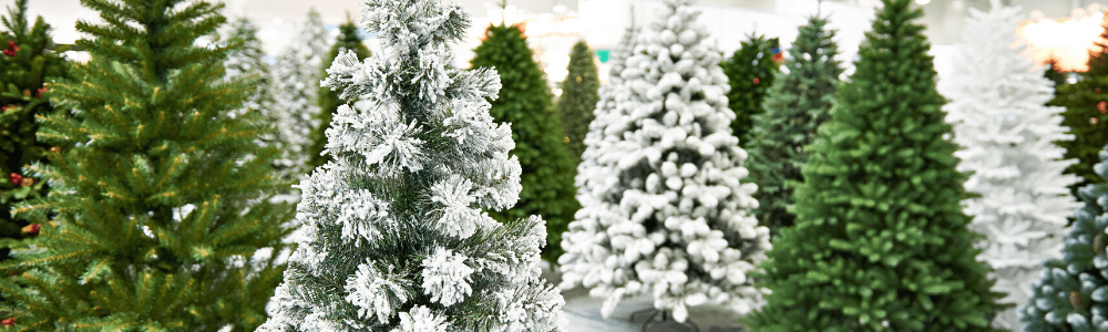 How To Choose The Perfect Christmas Tree