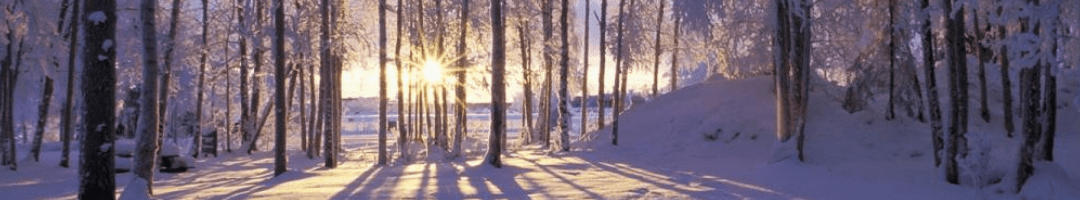 Celebrations, Rituals & The Winter Solstice!