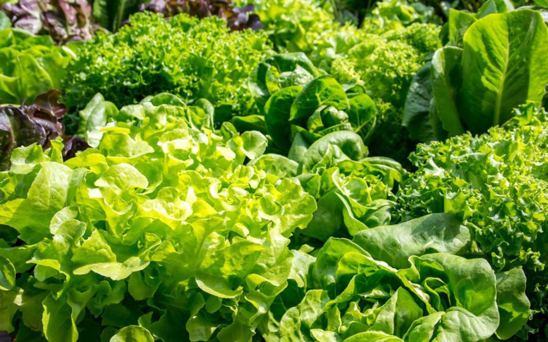 if at first you don’t succeed