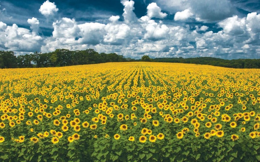 holiday weekend check list