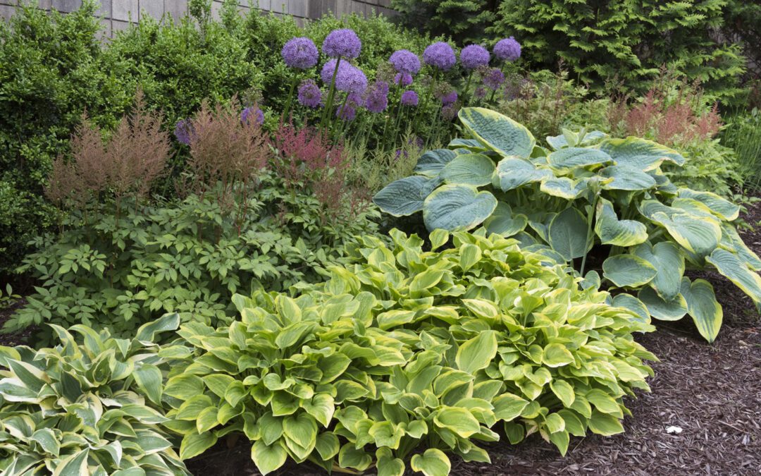 gardeners, start your engines!