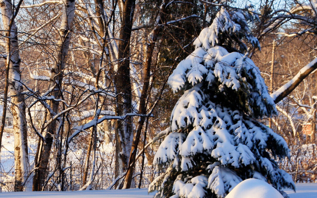 to everything a season