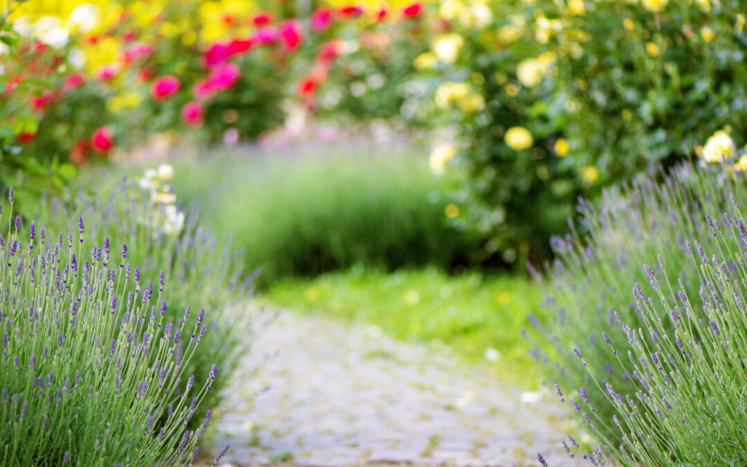 keep calm and garden on