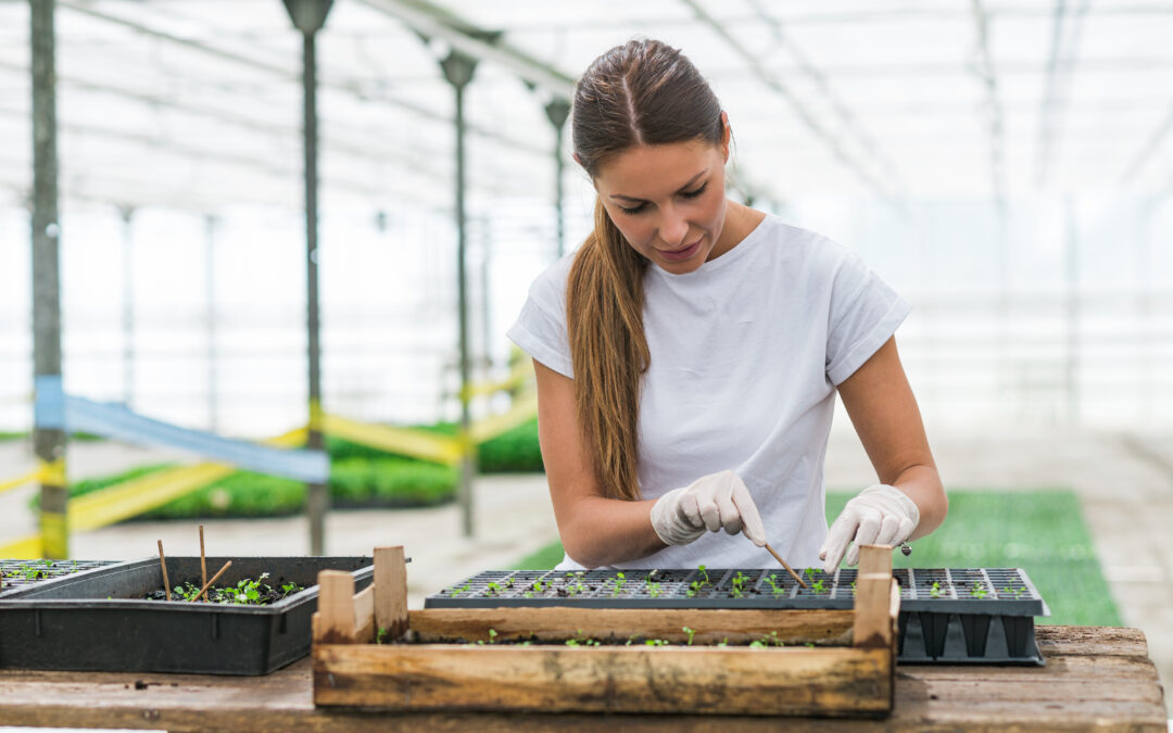 let the growing begin