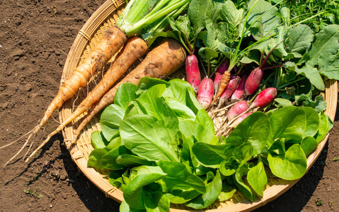 second chance veggies