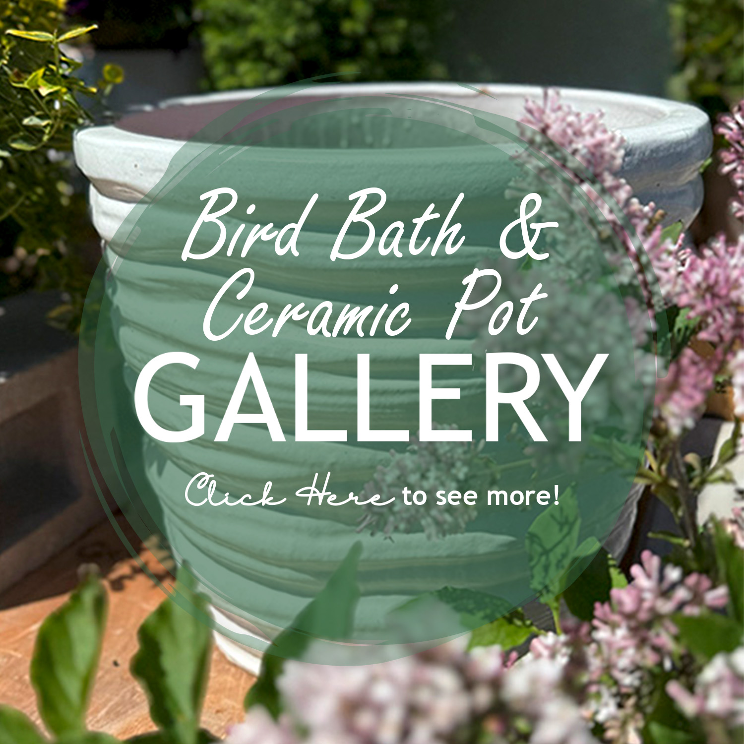 Bird Bath & Ceramic Pot Gallery