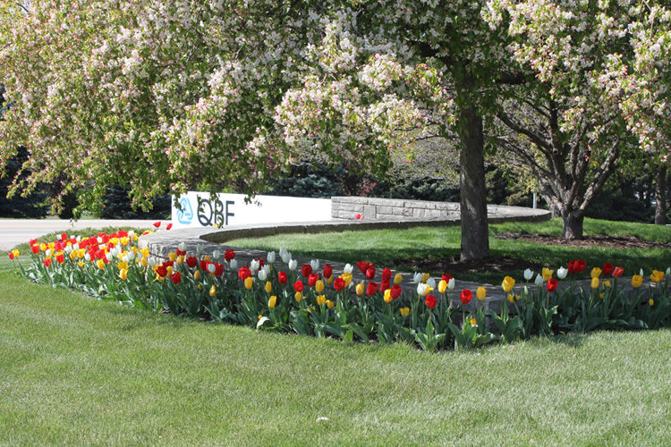 Commercial Design Build