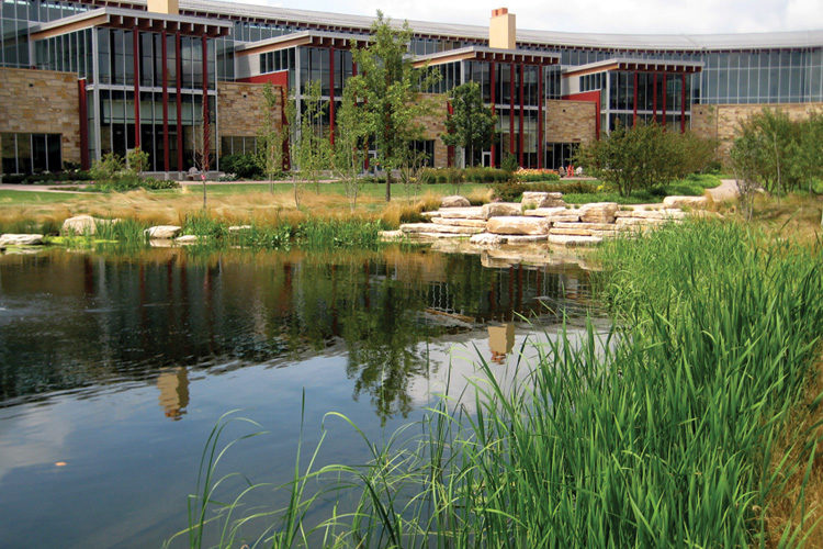 Commercial Design Build