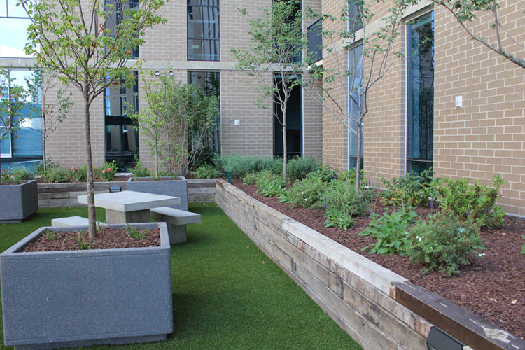 Commercial Design Build