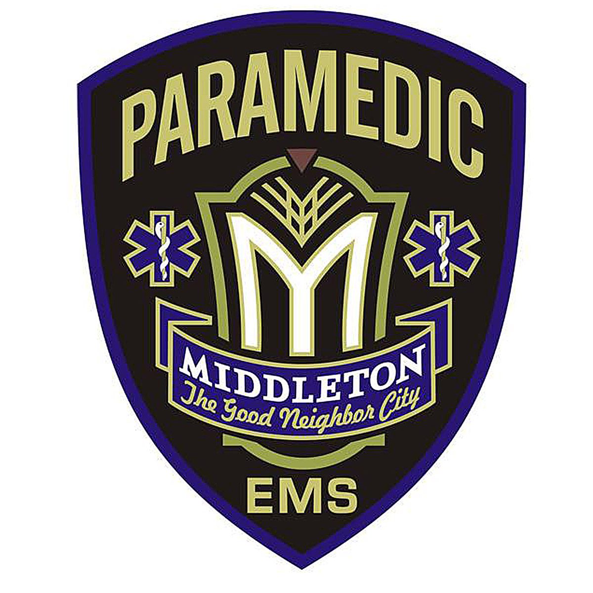 EMS