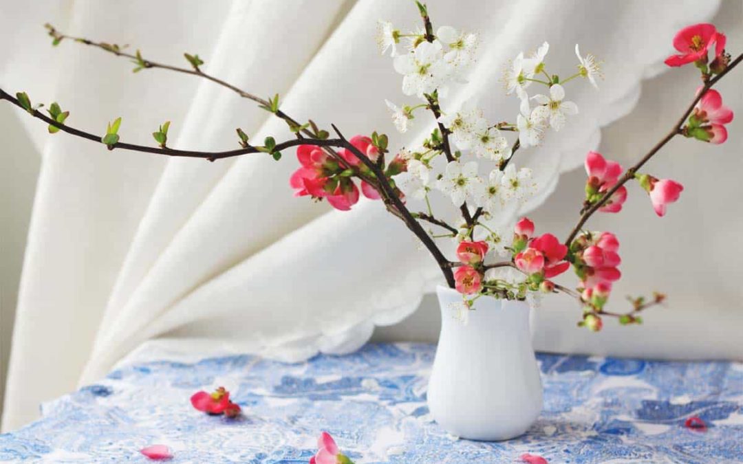 bring flowering branches indoors