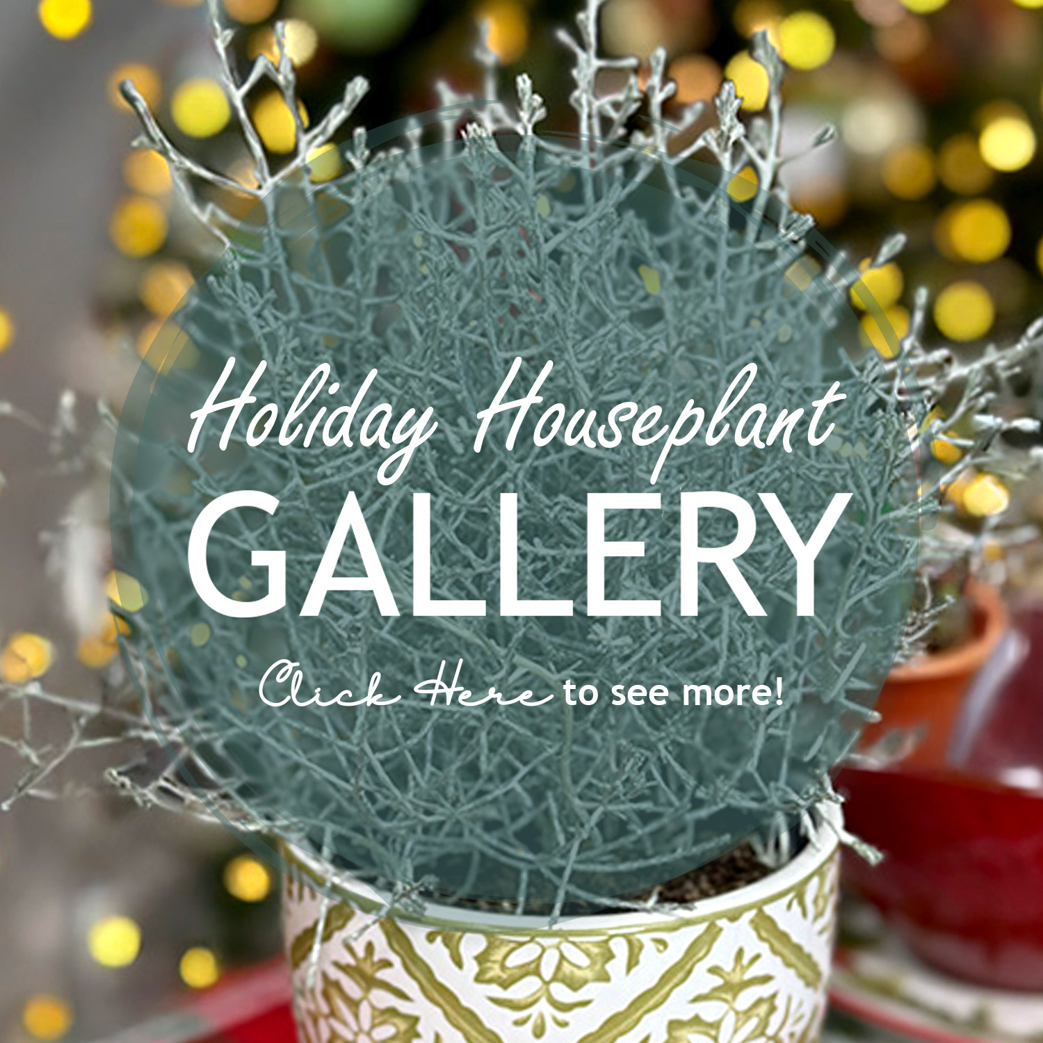 Houseplant Gallery Button