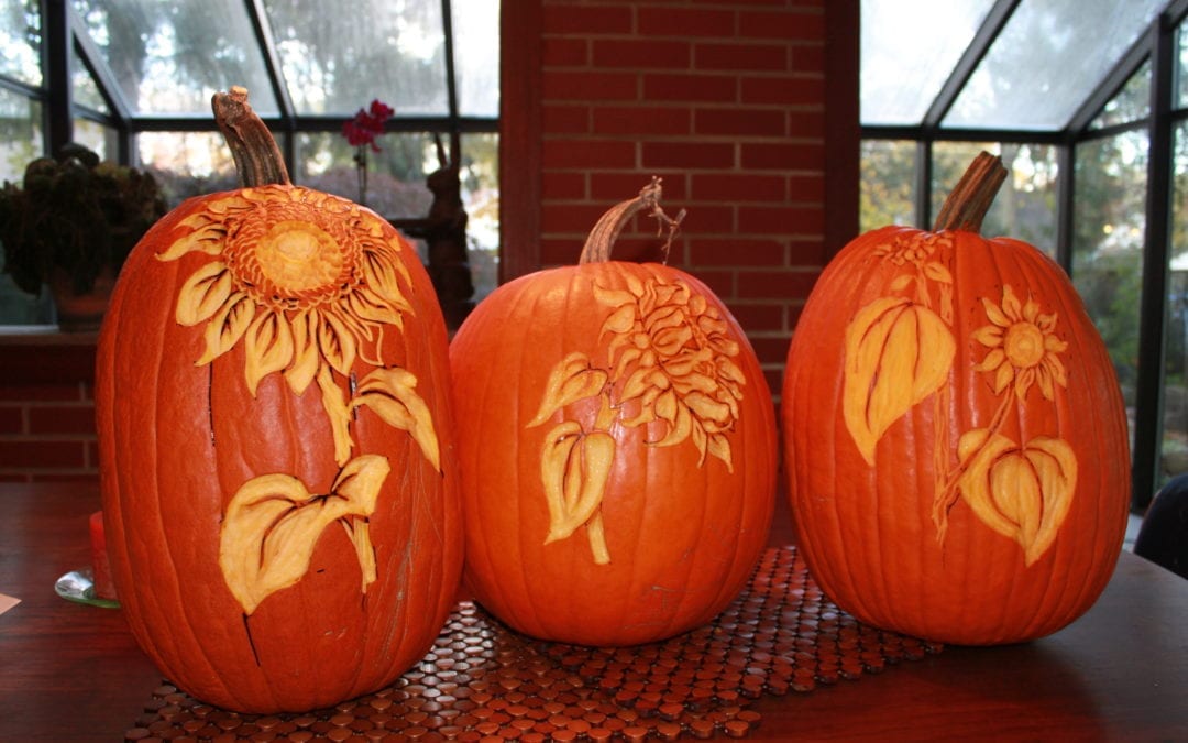 Pumpkins and Squashes and Gourds. Oh my!