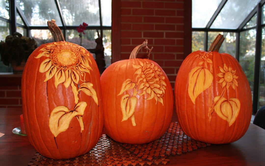 Pumpkins And Squashes And Gourds Oh My The Bruce Company