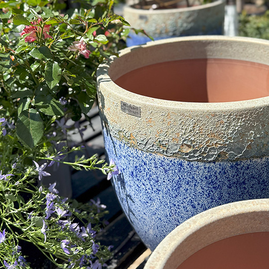 Colorful Ceramic Pots