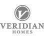 Veridian Icon