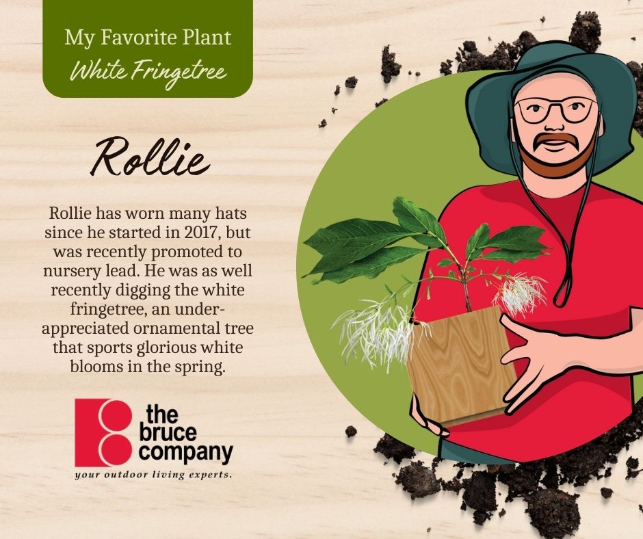 Karen's Favorite Plant