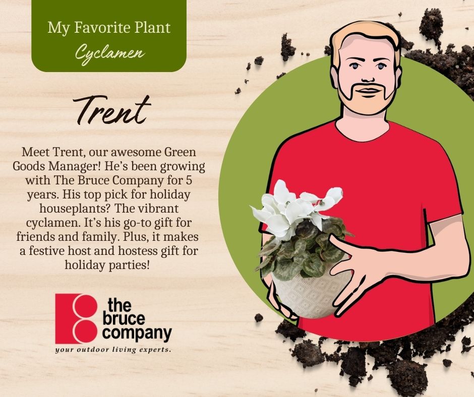 Karen's Favorite Plant