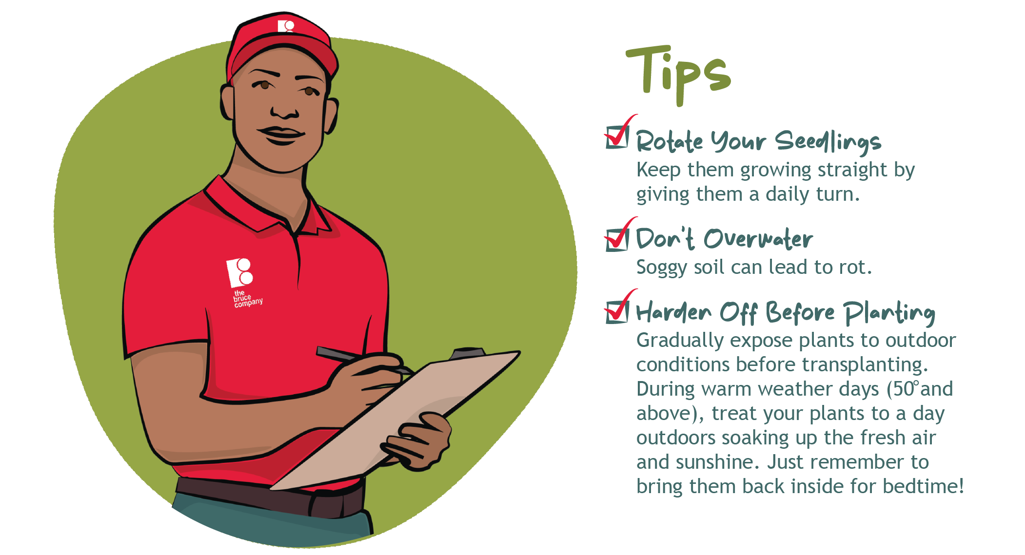 Tips on how to grow your garden from a seed, seed starter. Rotate your seedlings, don't overwater, and harden off your plants before transplanting outdoors.
