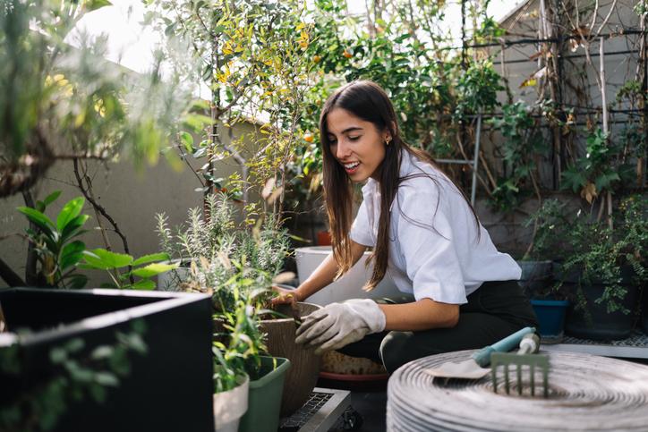 Taking care of my urban garden