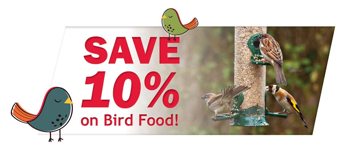 bird sale