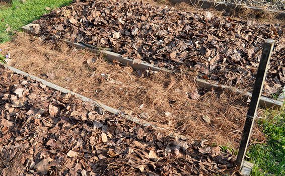 Putting Your Vegetable Garden to Bed