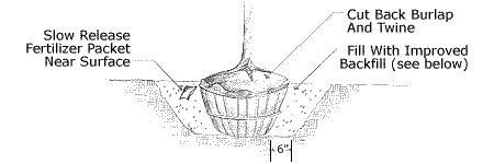 planting_container