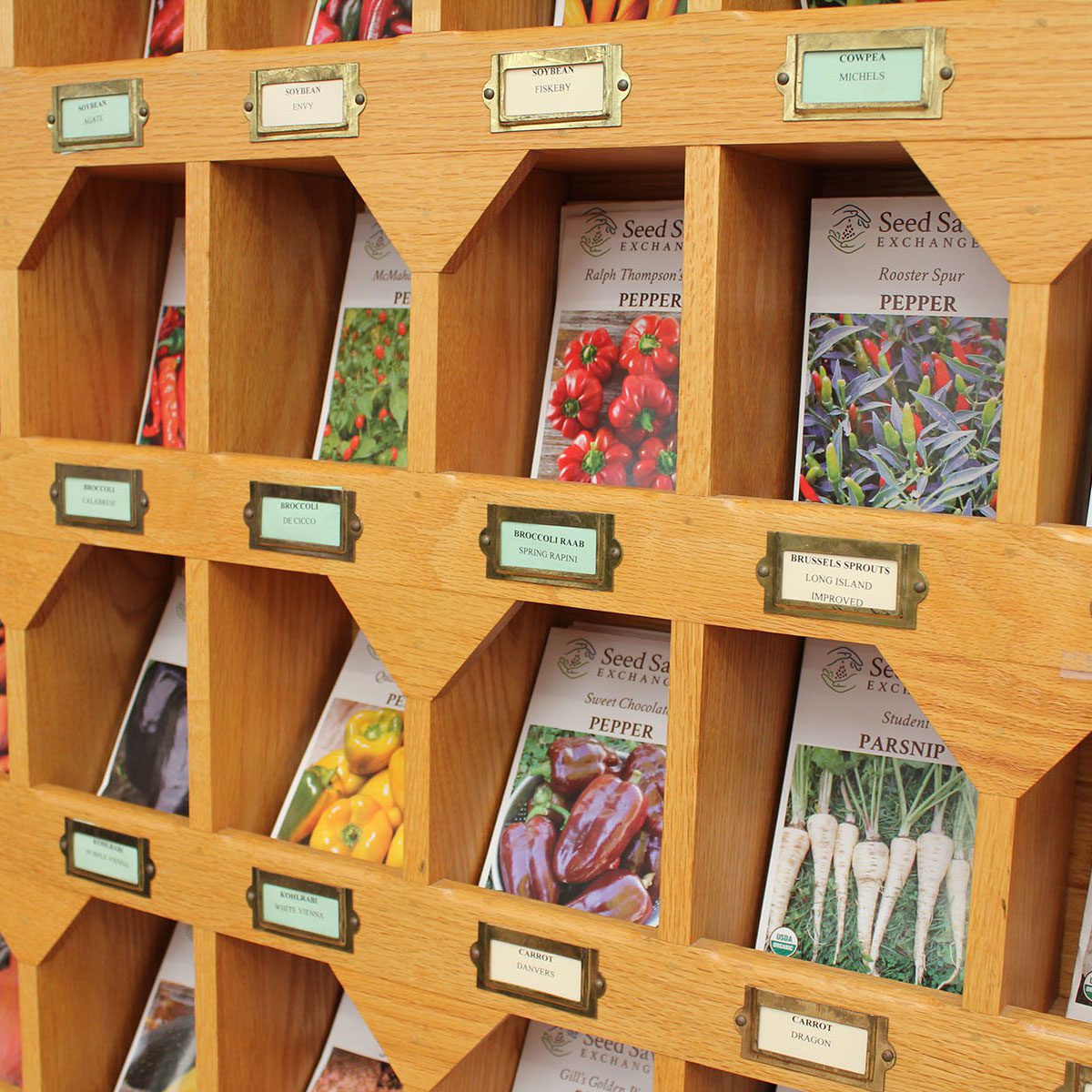 seeds