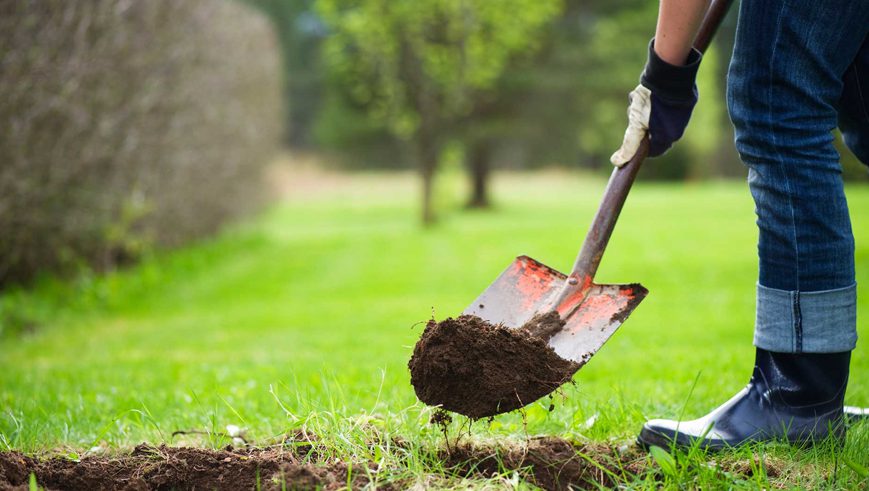 Make a List and Check it Twice…in the Garden!